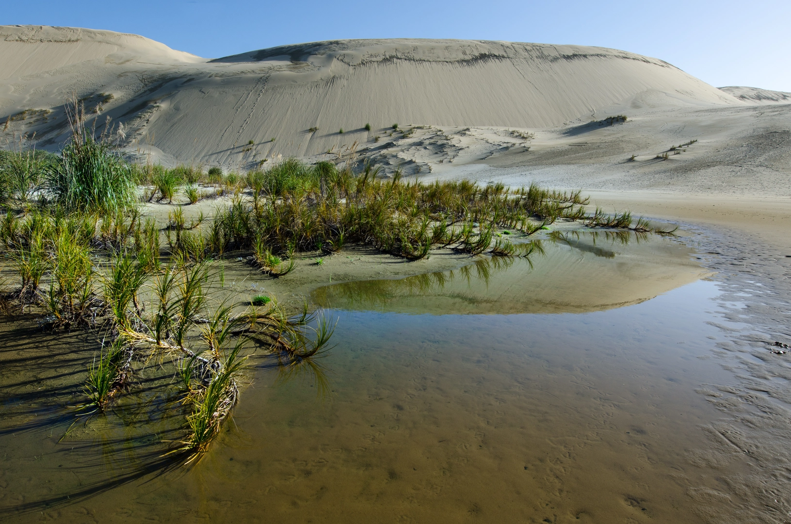 An image depicting the trail Te Paki Stream Trail and its surrounding area.