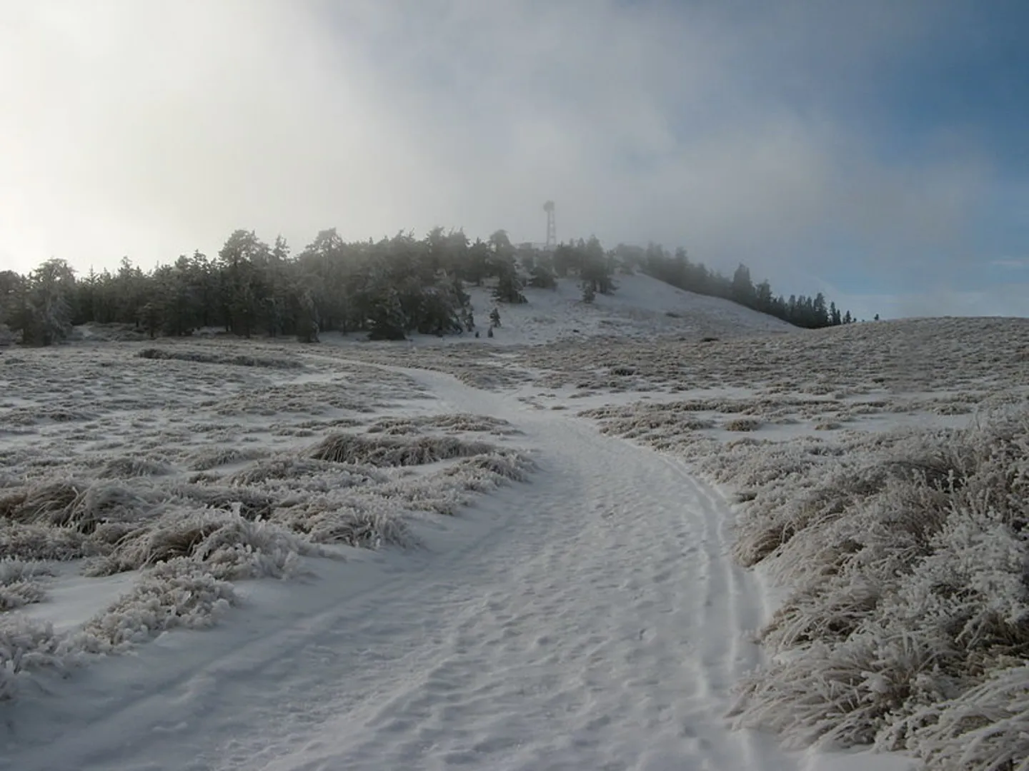 An image depicting the trail North Fork Lockwood Trail and its surrounding area.