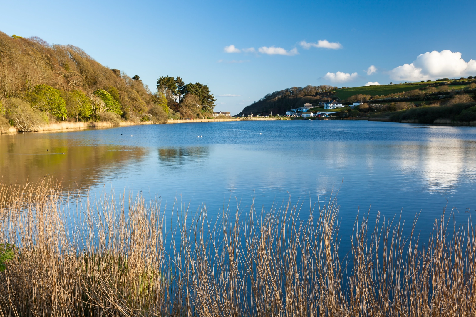 An image depicting the trail Swanpool to Pendennis Castle Walk and its surrounding area.