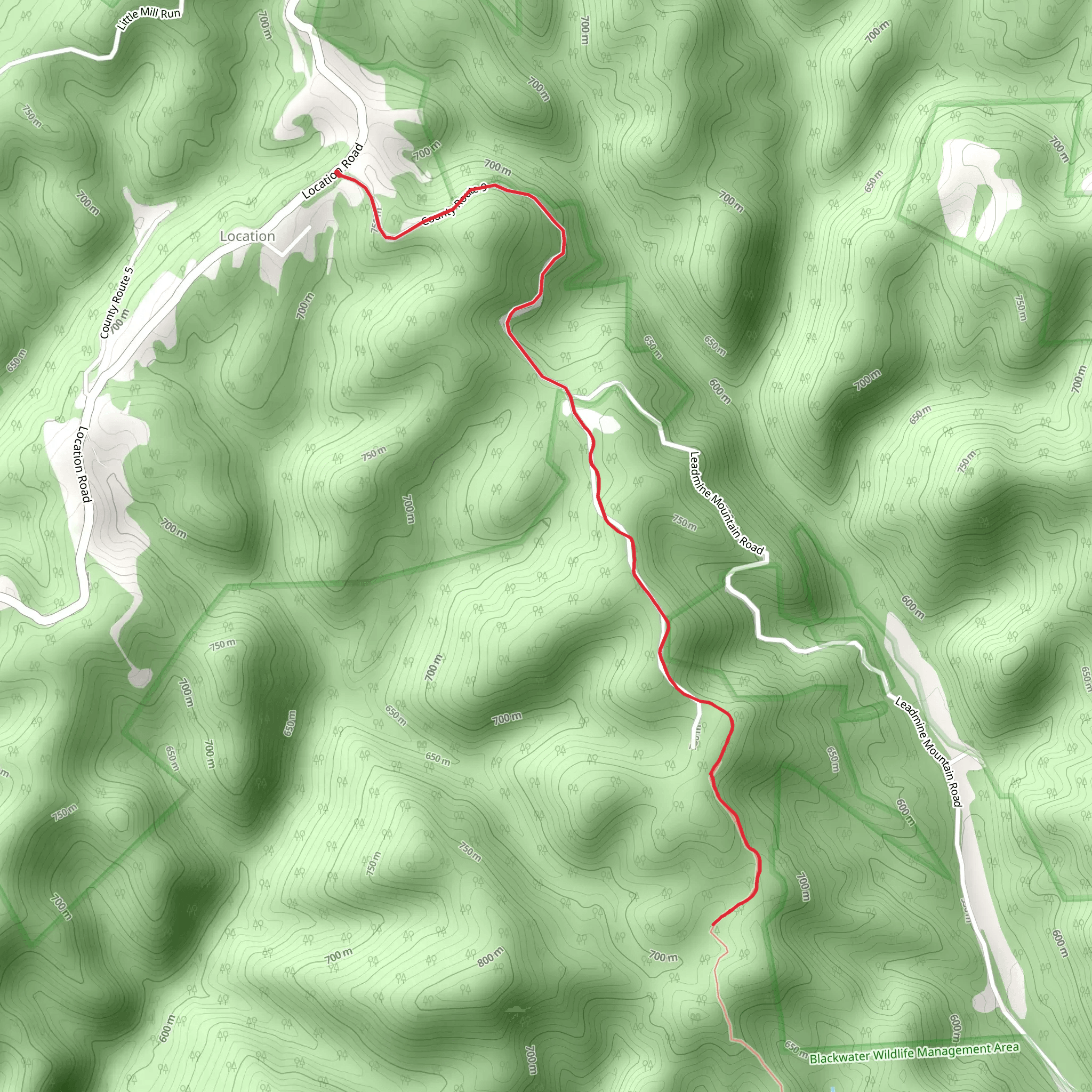 Dorman Ridge Trail | Tucker County | West Virginia
