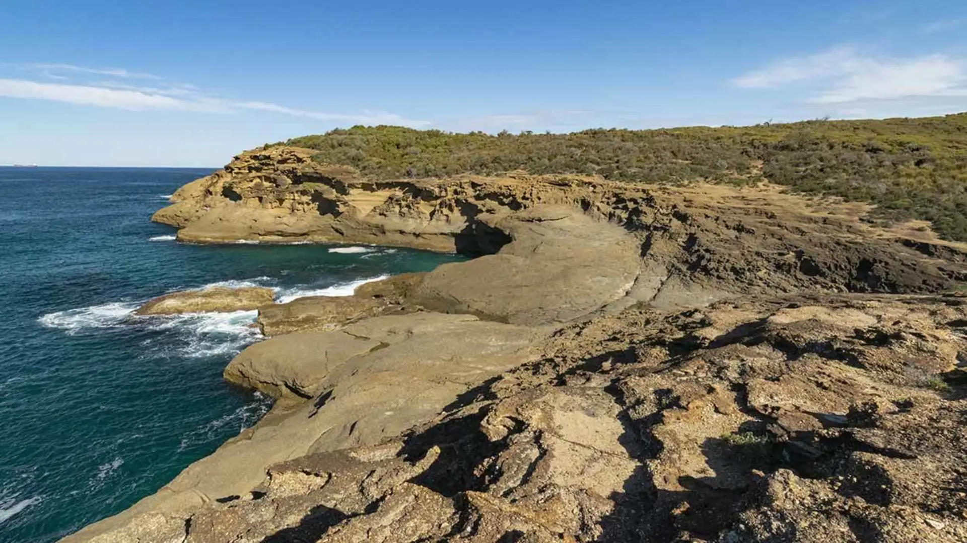 An image depicting the trail Coastal Track and its surrounding area.