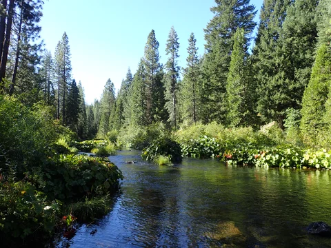 Mccloud River via Pacific Crest Trail
