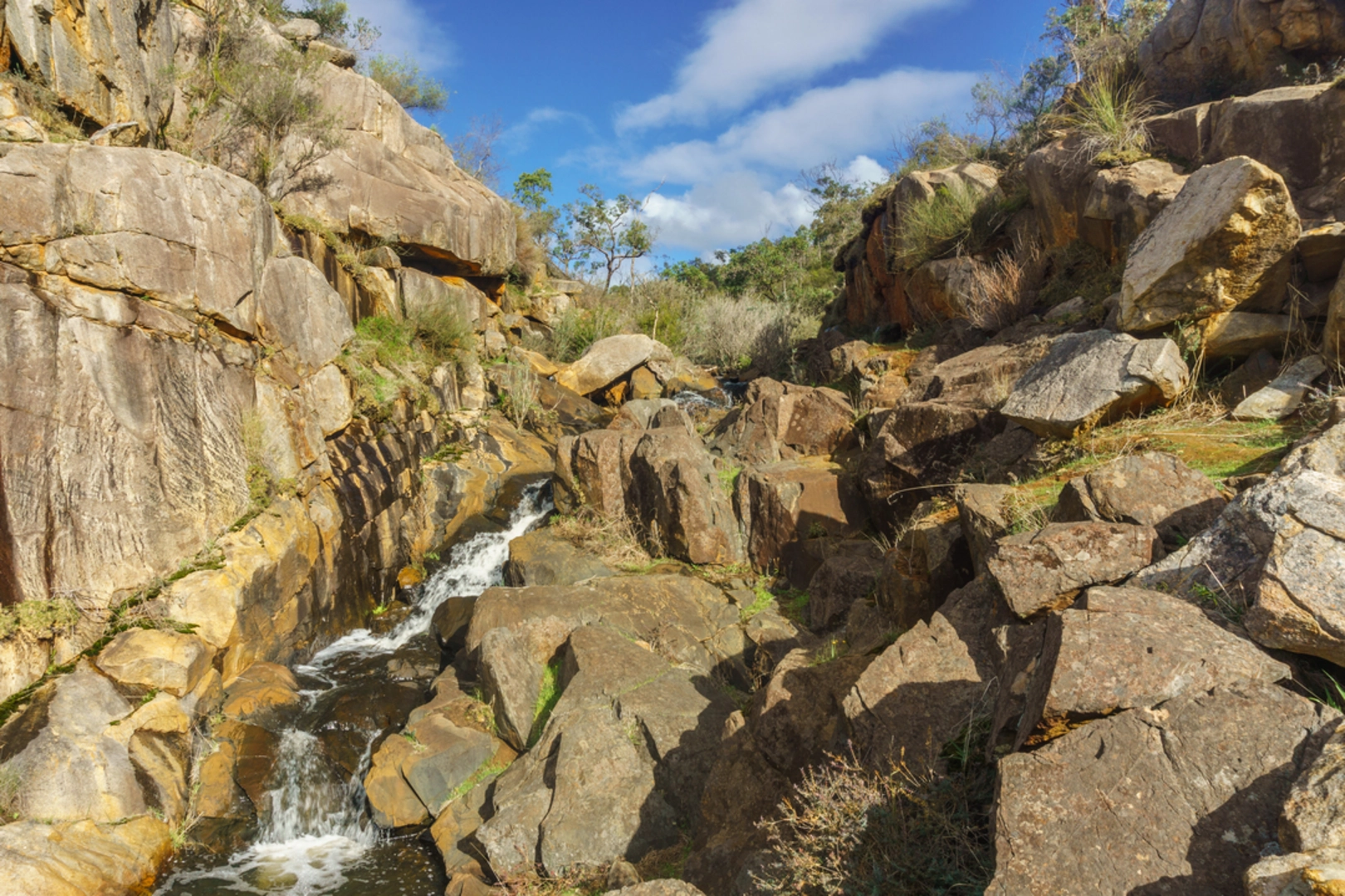 An image depicting the trail Numbat Trail and its surrounding area.