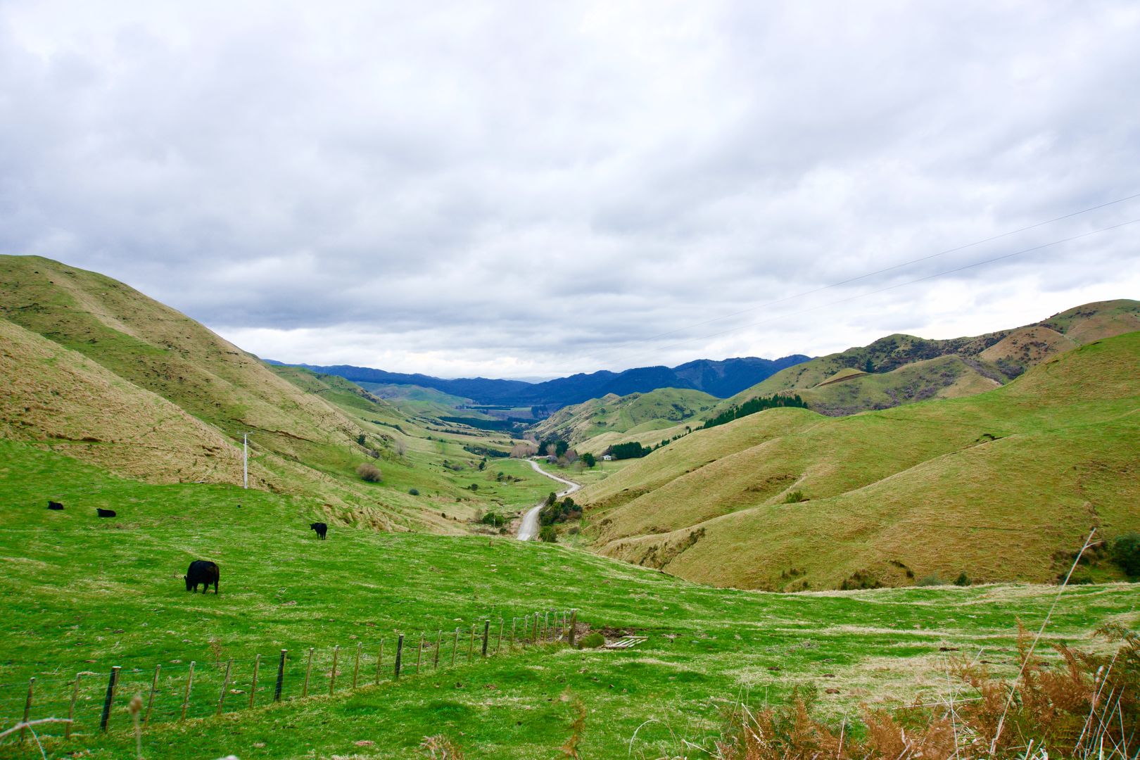 An image depicting the trail Kaweka Forest - Studholm Saddle Hut and its surrounding area.