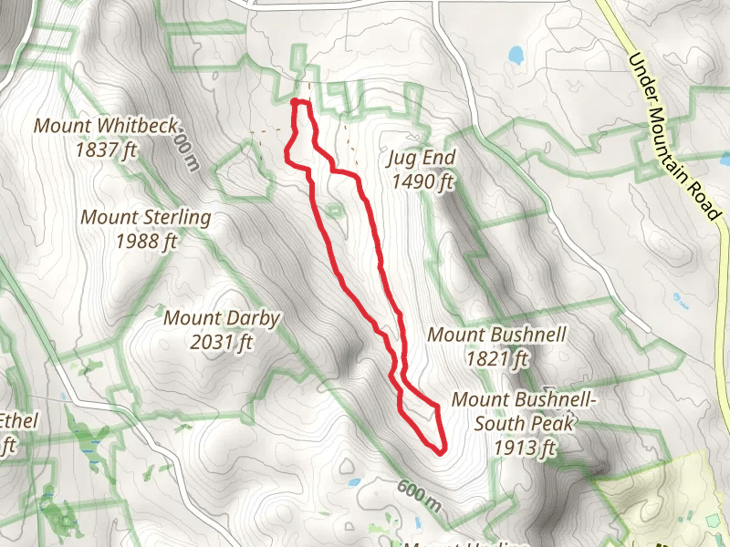 Fenton Brook Loop