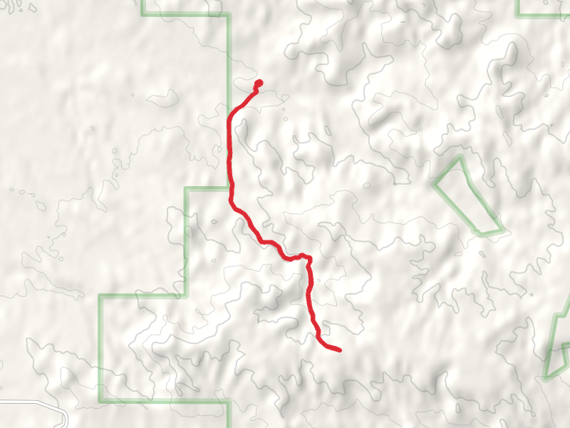 Maverick Creek Trail