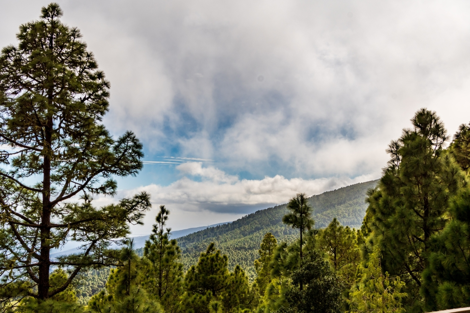 An image depicting the trail SL TF 302 Las Erillas Circular and its surrounding area.