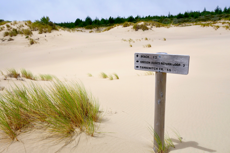 Tahkenitch - Three Mile Tie Trail via Tahkenitch Dunes Trail