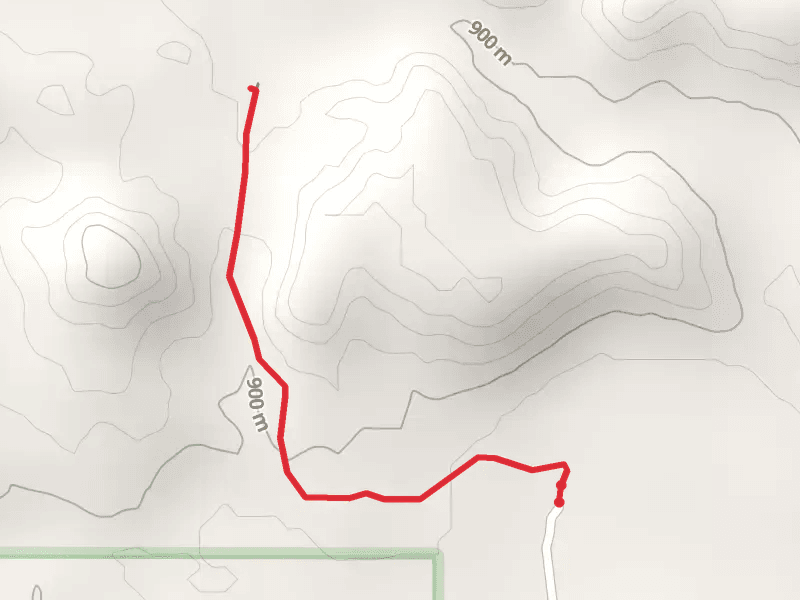 French Creek Campground Trail