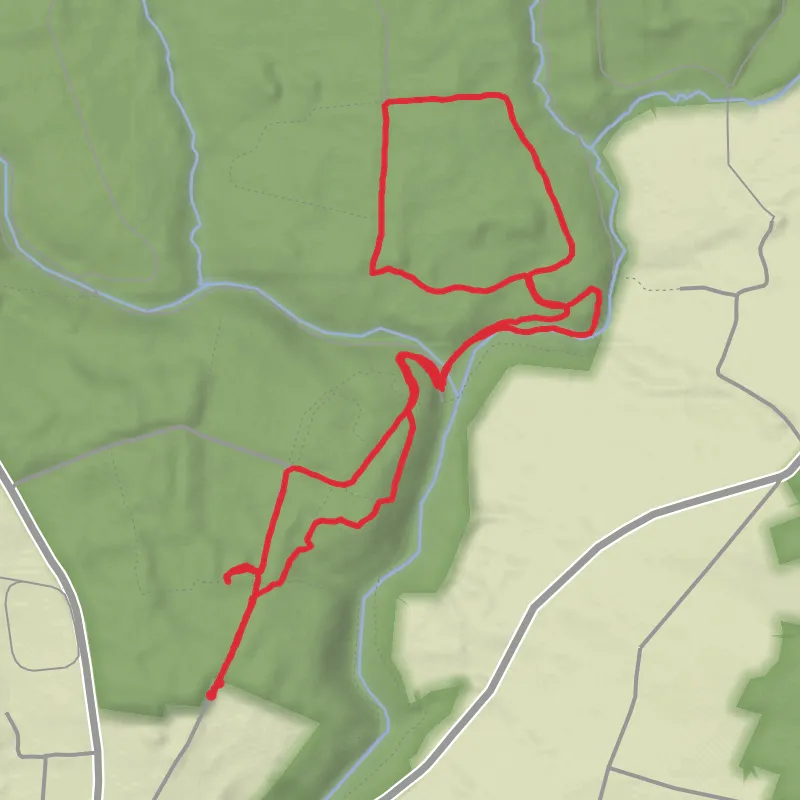 7k dog walk mobile static map