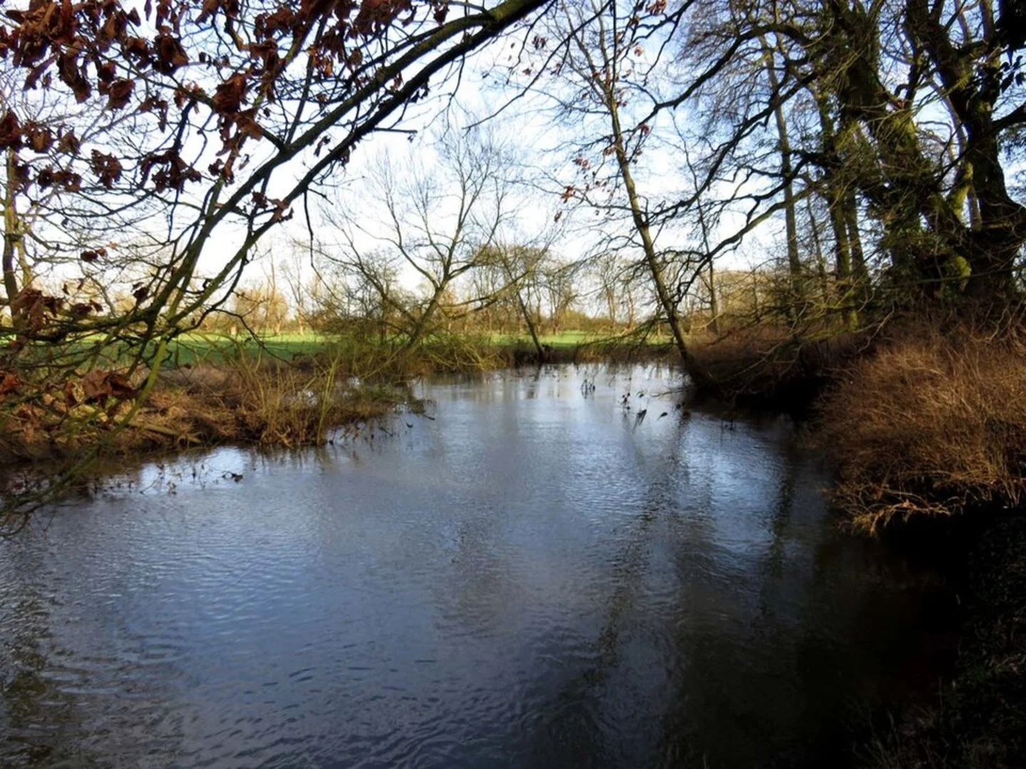 An image depicting the trail Waterperry Gardens Loop and its surrounding area.