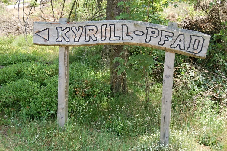 Traumschleife Burgstadt-Pfad Loop