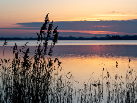 De Dreef, De Zoom, Paardenbosch, Hollandsche Rading and Loosdrechtsche Plassen Loop