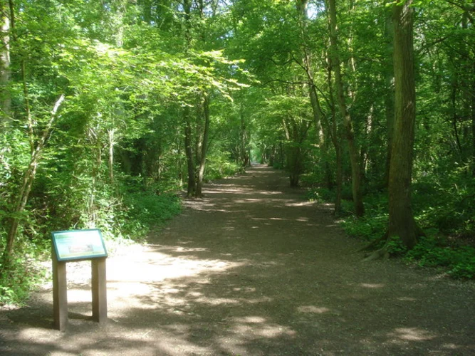 Worcester Woods Country Park Walk