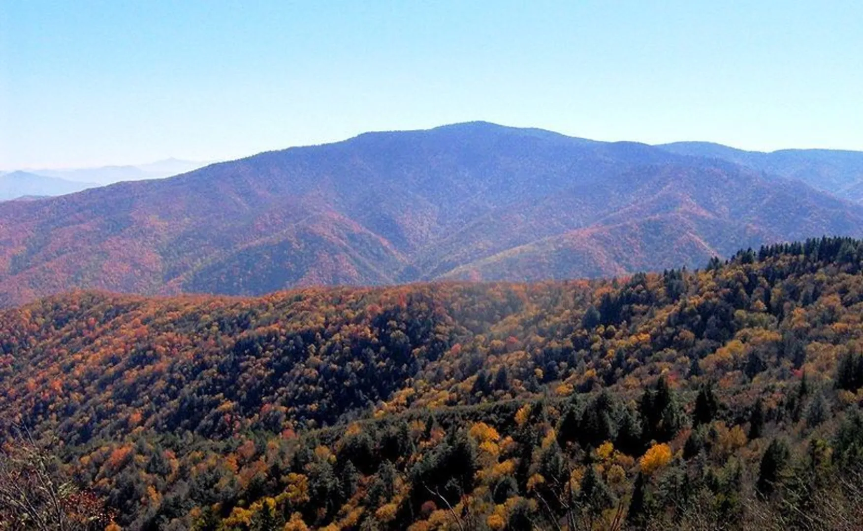An image depicting the trail Round Bottom Trailhead to Pretty Hollow Gap via BMT and its surrounding area.