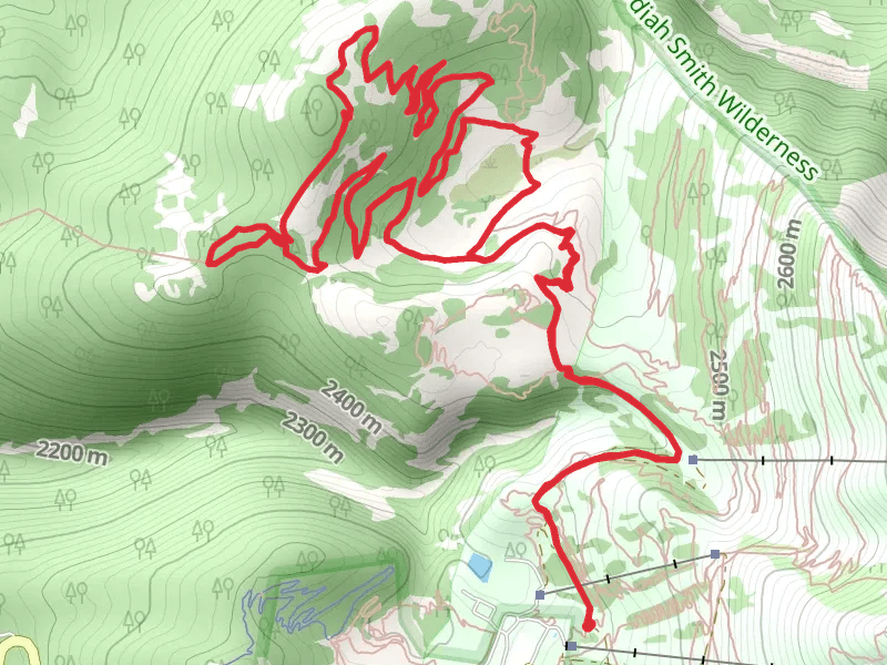 Quakie Ridge