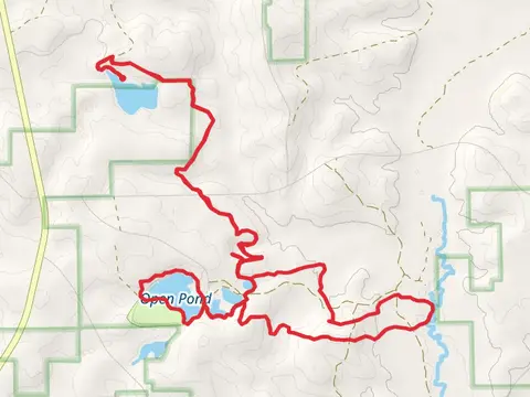 Conecuh South and Open Pond Loop Trail