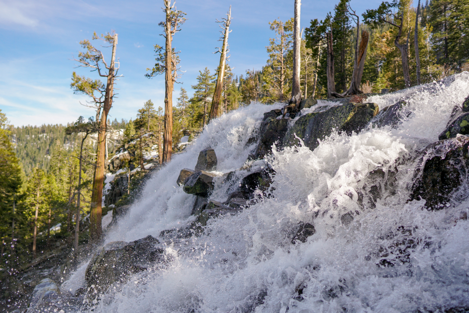 An image depicting the trail Eagle Falls Vista Loop Trail and its surrounding area.