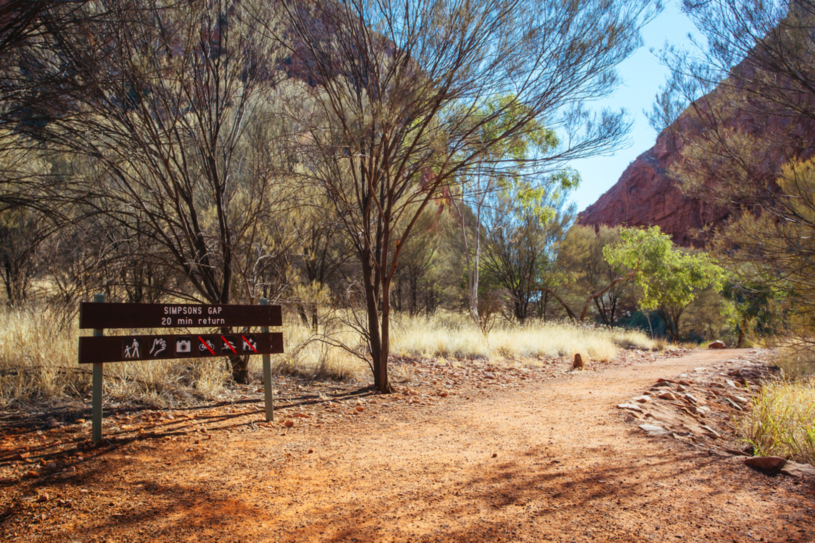An image depicting the trail Mount Gillen and The Heavitree Range Trail and its surrounding area.