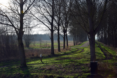 Vogelkijkscherm in Berkenbos and De Balij