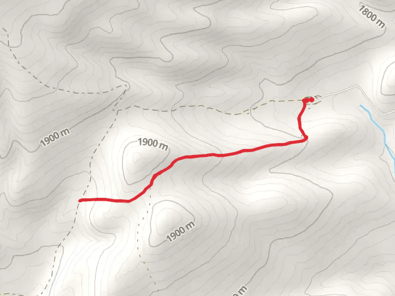 Jellison Kiddie Trail