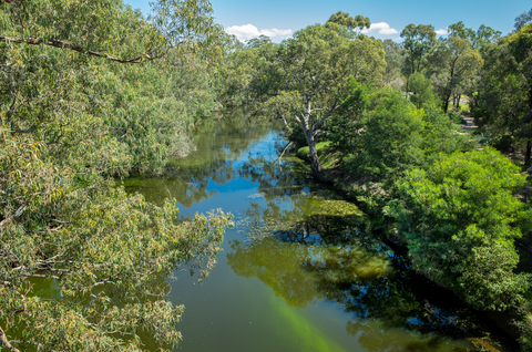 Wyndham Park Loop Walk