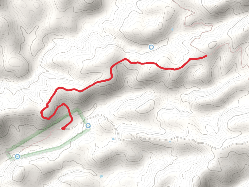 Tule Trail