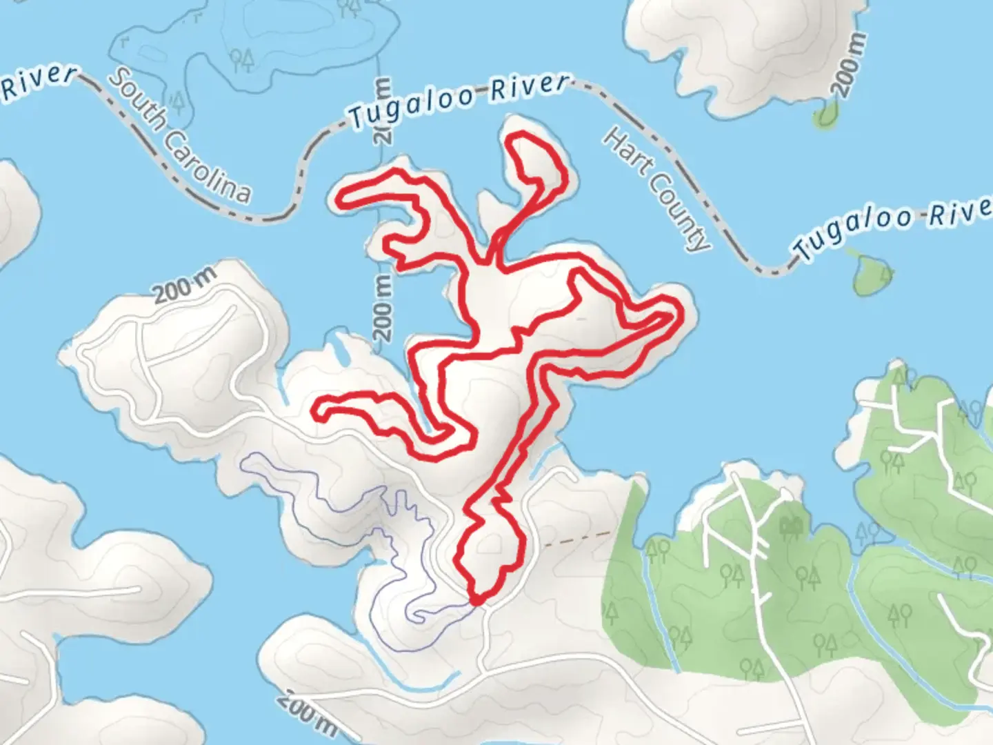An image depicting the trail Payne's Creek Trail - north Loop and its surrounding area.