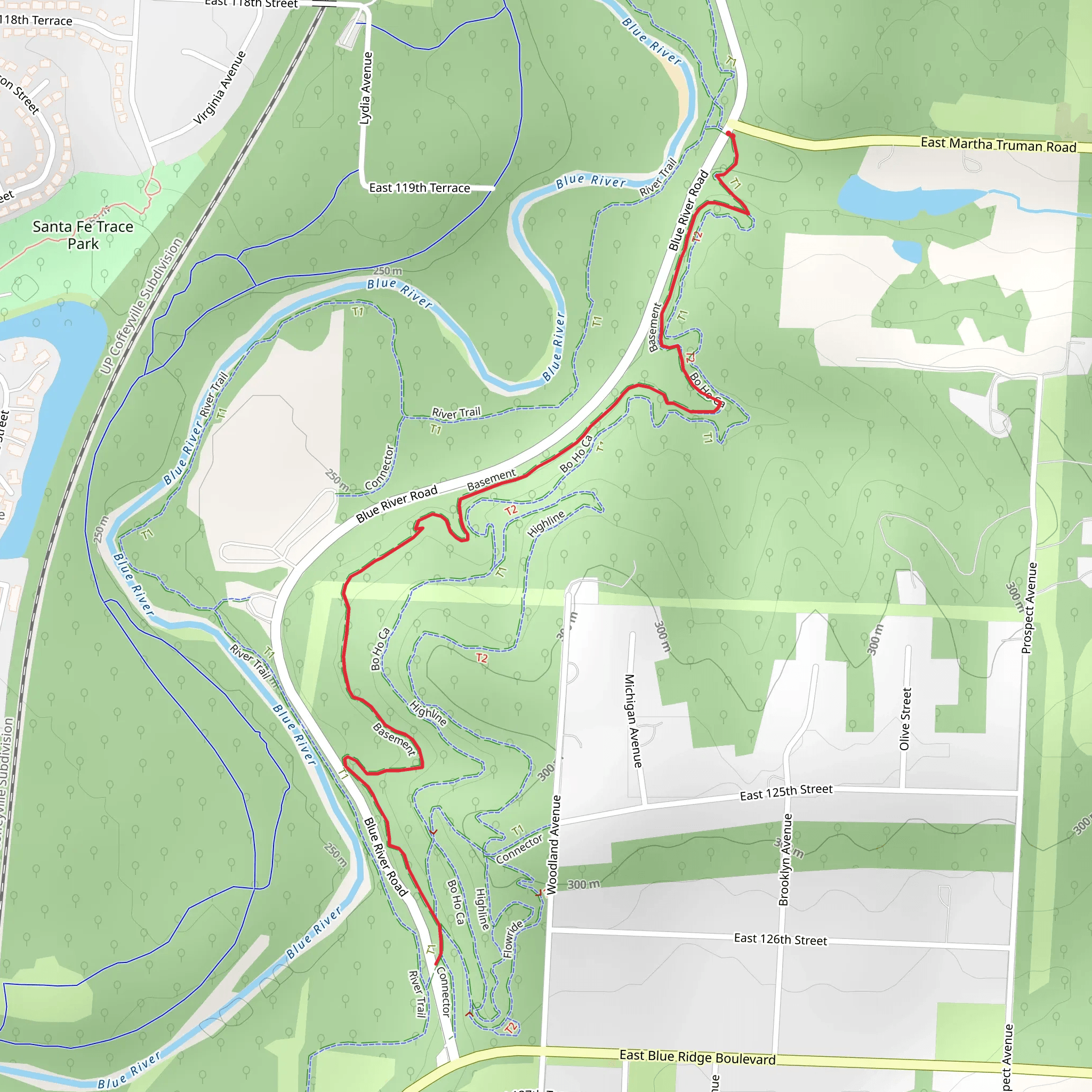 Basement Walk mobile static map