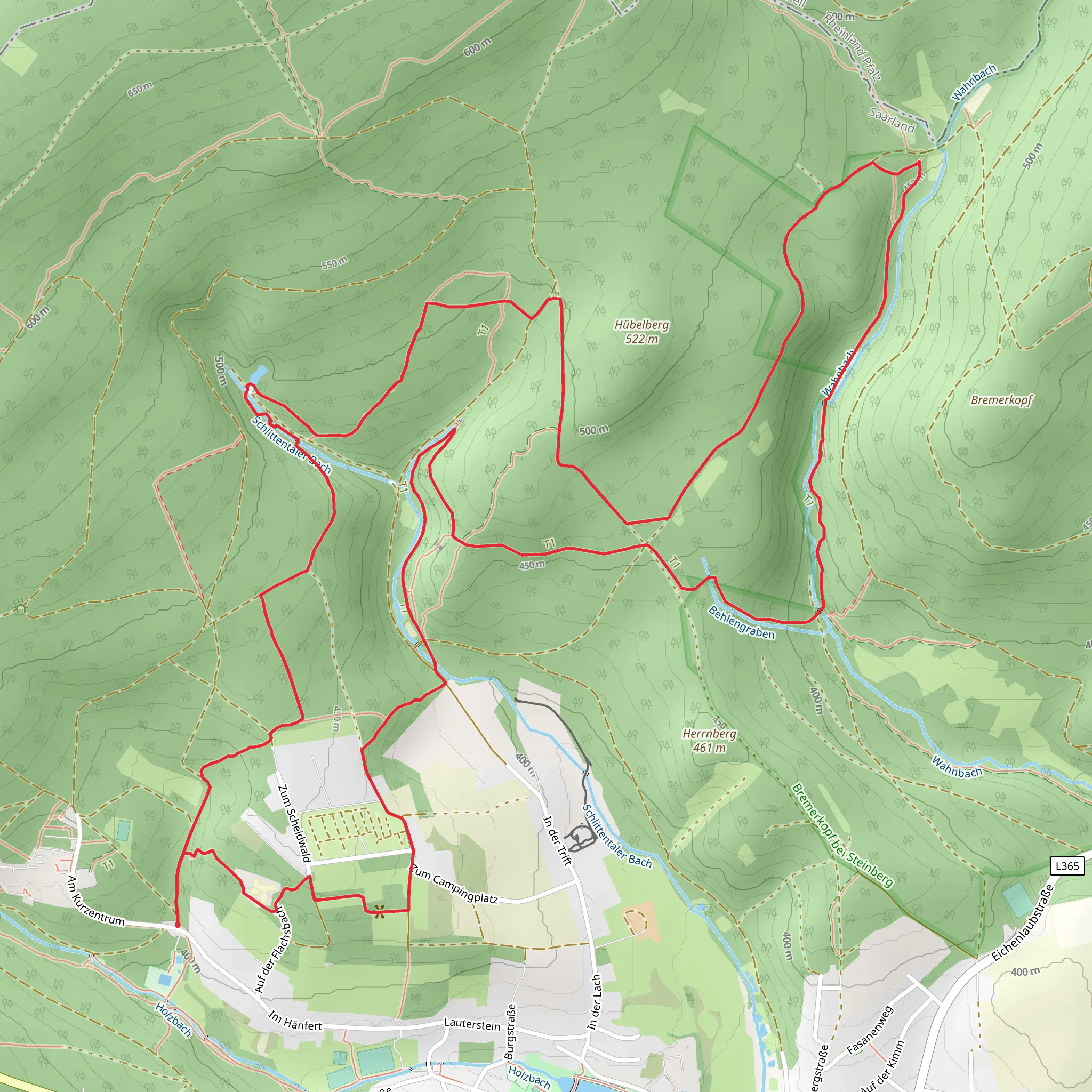 Schwarzwälder Hochwald and Harfenfichte Loop | Merzig-Wadern | Germany
