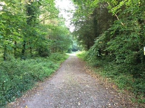 Castlemorris - Holly Loop