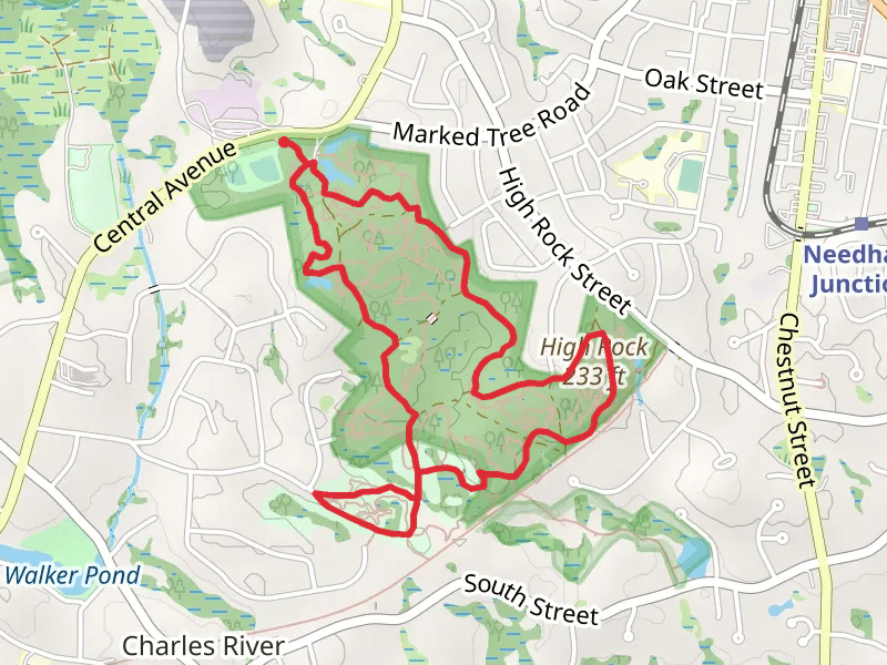 Needham Town Forest - Farley Pond Area Loop Trail