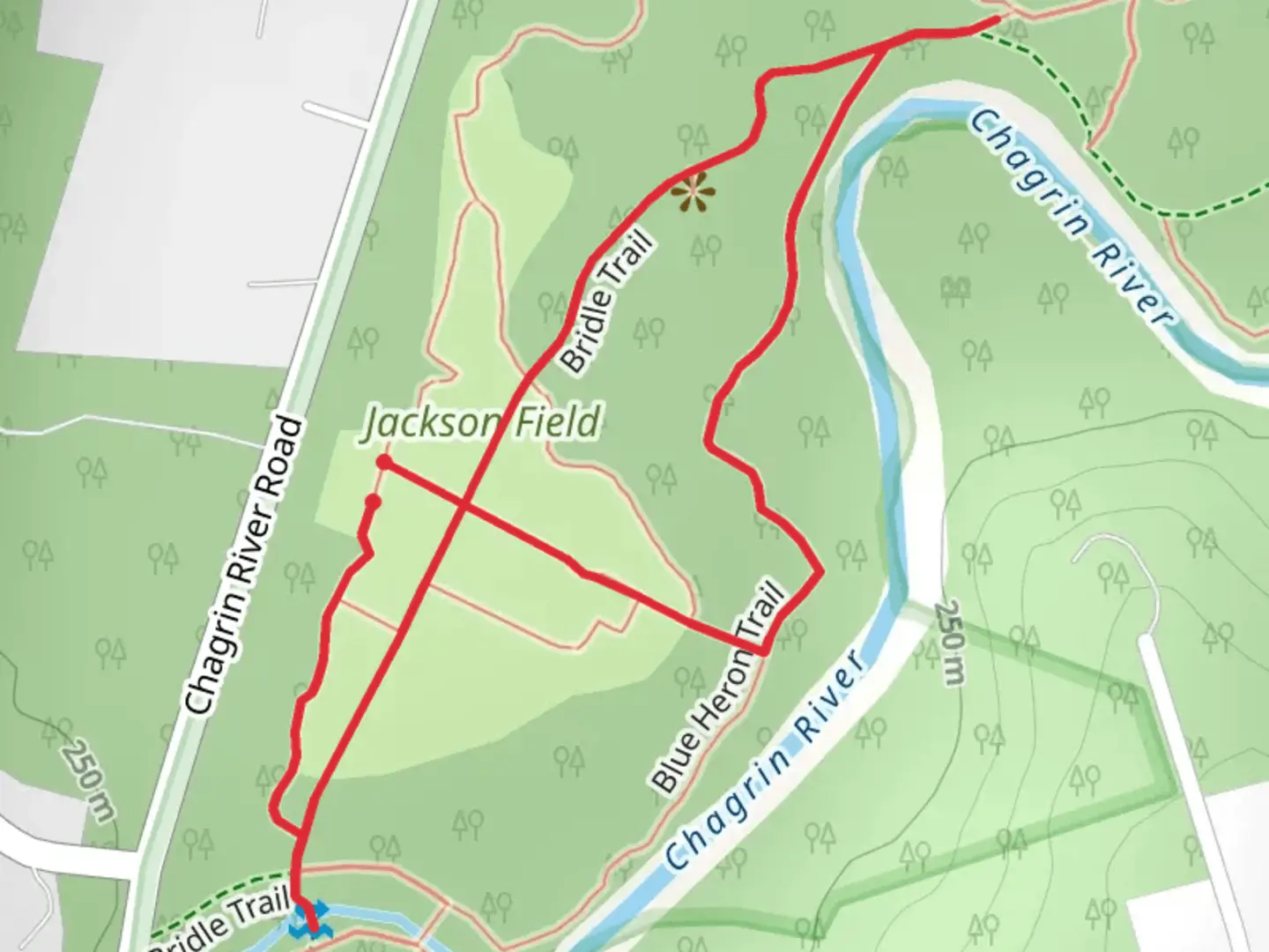 An image depicting the trail Blue Heron and Bridle Loop Trail and its surrounding area.