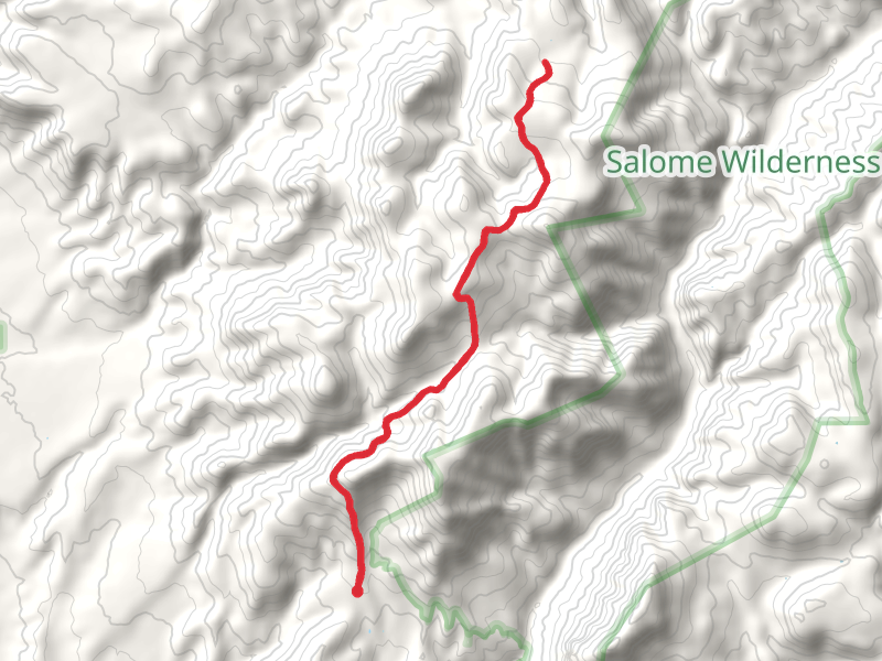 Lost Goldmine Trail