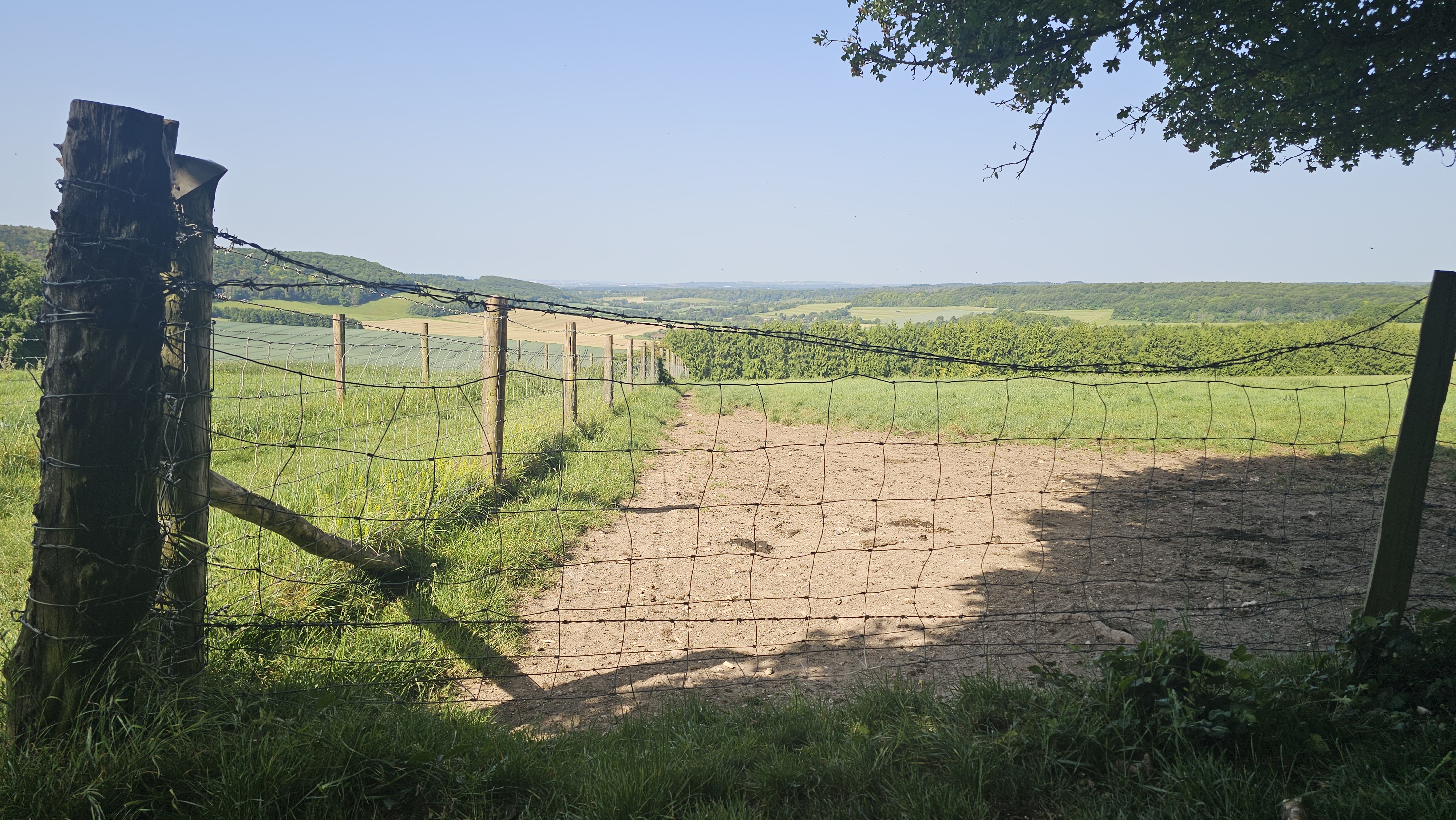 A map preview of the recording Kingley Vale to the bench.