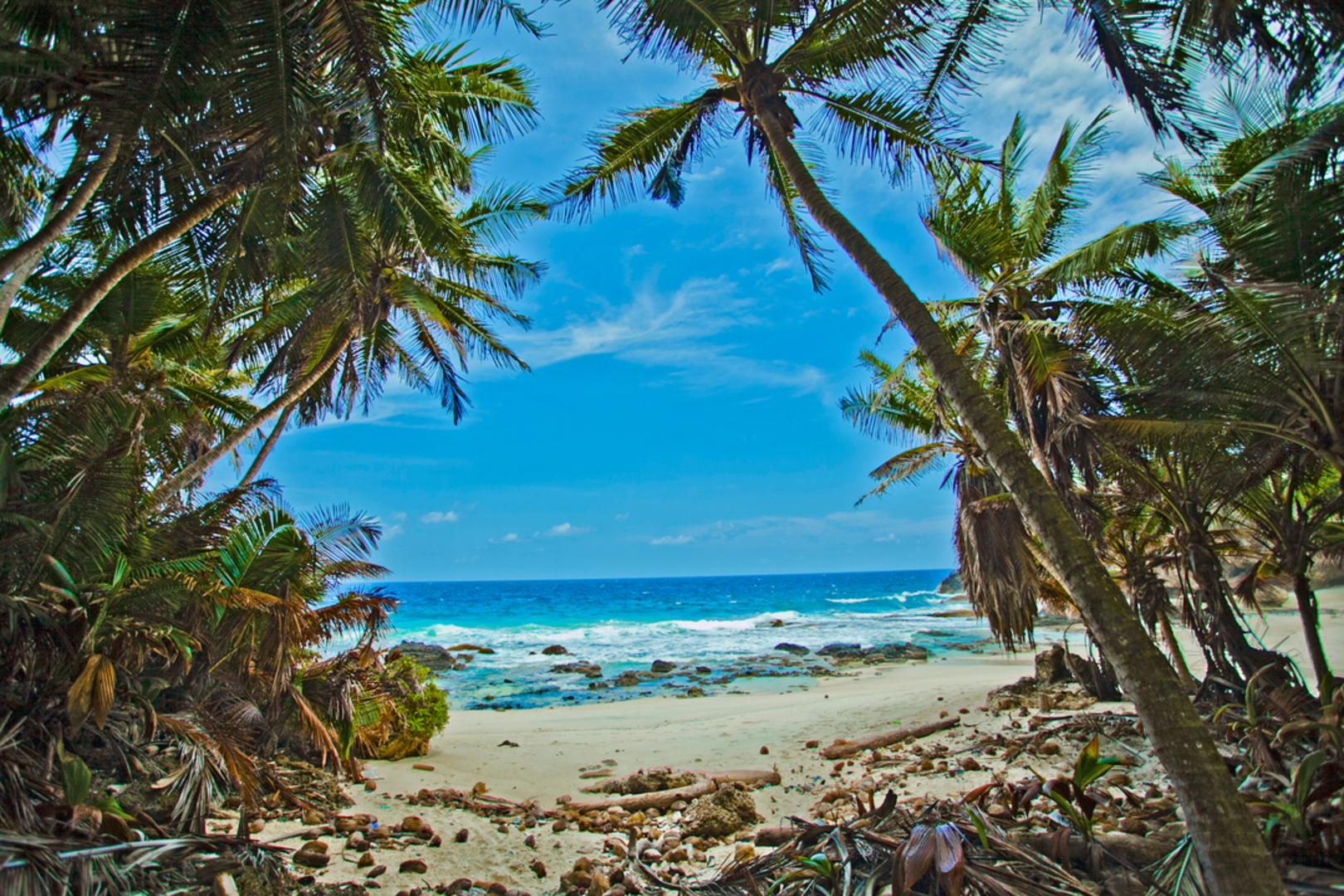 An image depicting the trail Dolly Beach Trail and its surrounding area.