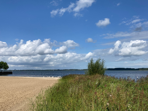 Spanderswoud, Westerheide, Limitsche Heide and Openluchtmuseum Loop