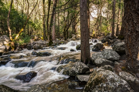 Bridalveil Creek Trail