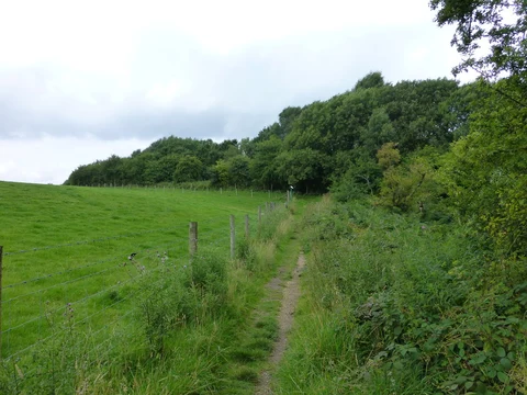Great Wood Loop