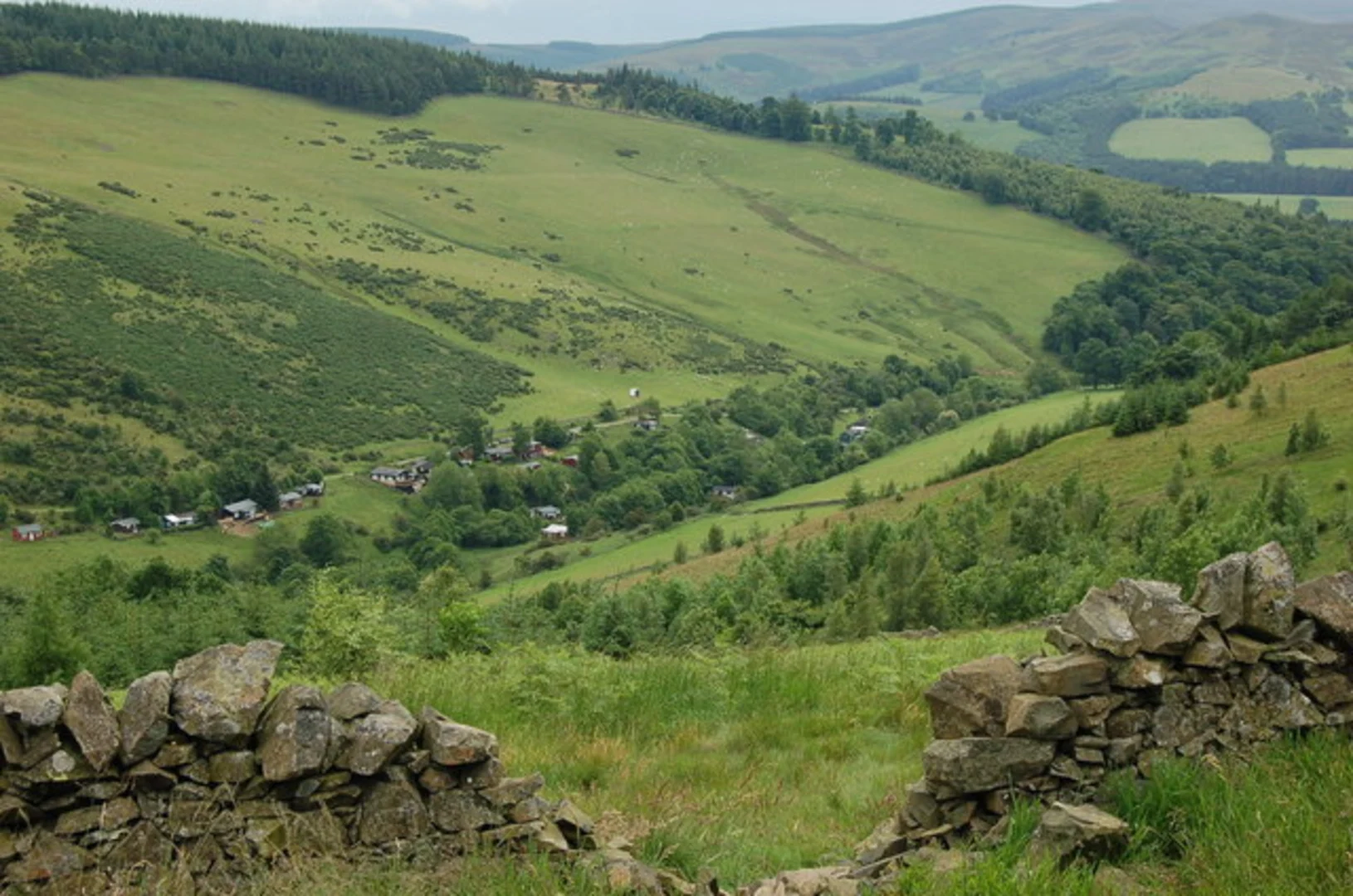 An image depicting the trail Time Loop Trail from Glentress and its surrounding area.
