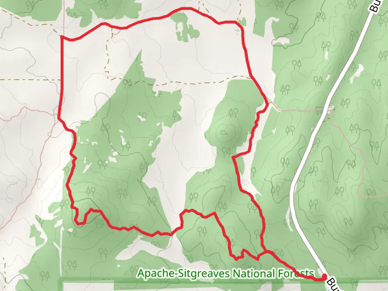 Ghost of the Coyote Short Loop Trail