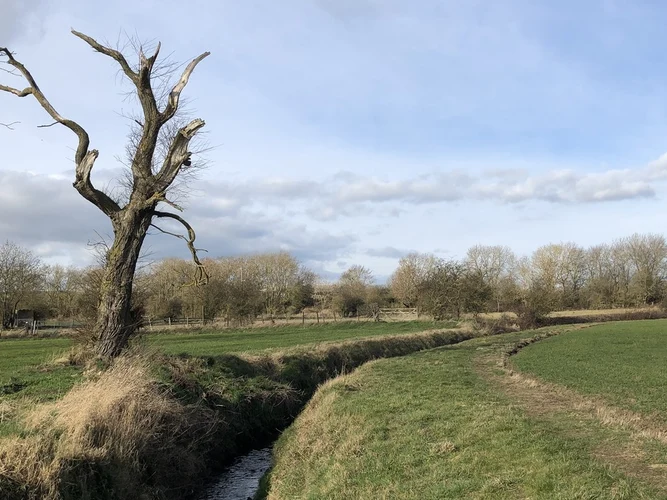 Kelloe Way and Crowtrees Local Nature Reserve