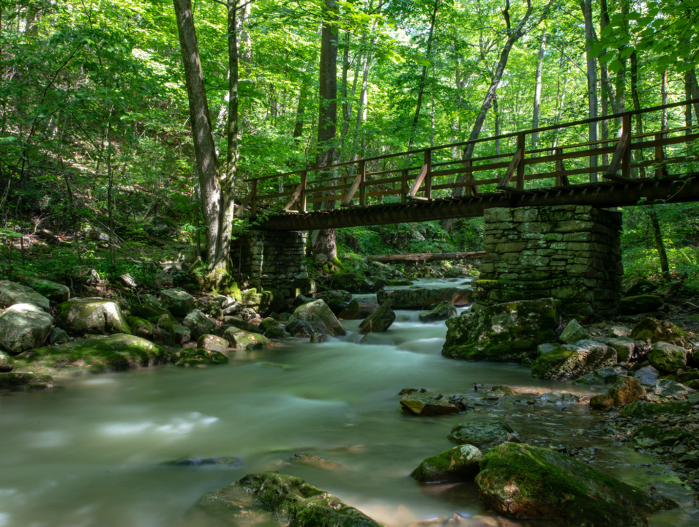 An image depicting the trail Iron Ore Trail and its surrounding area.