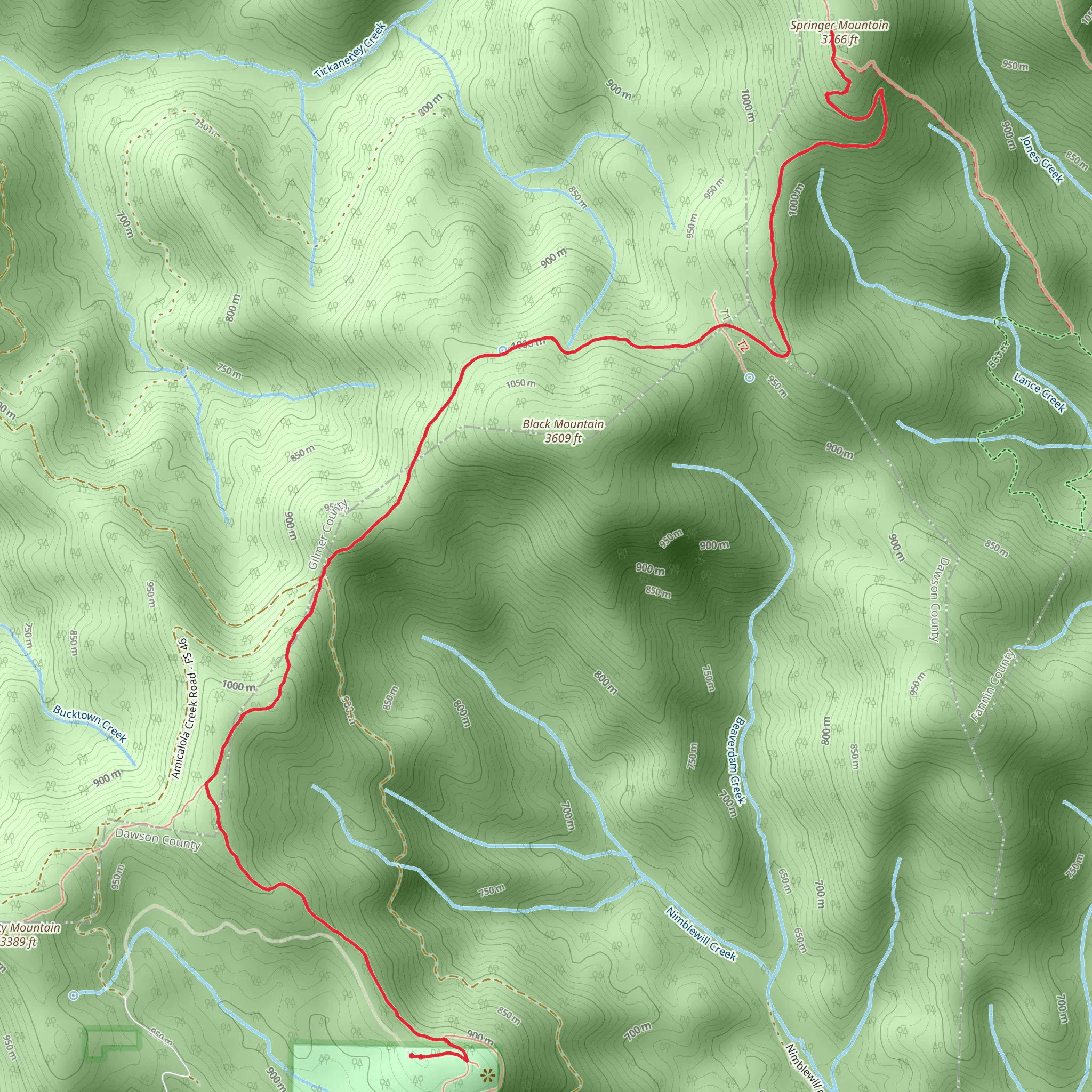 Springer Mountain via Len Foote Trail mobile static map