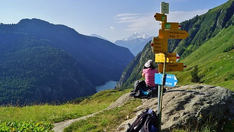 Ridge Hike to Aletsch Forest