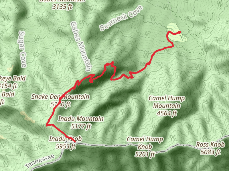 Snake Den Mountain via Snake Den Ridge Trail