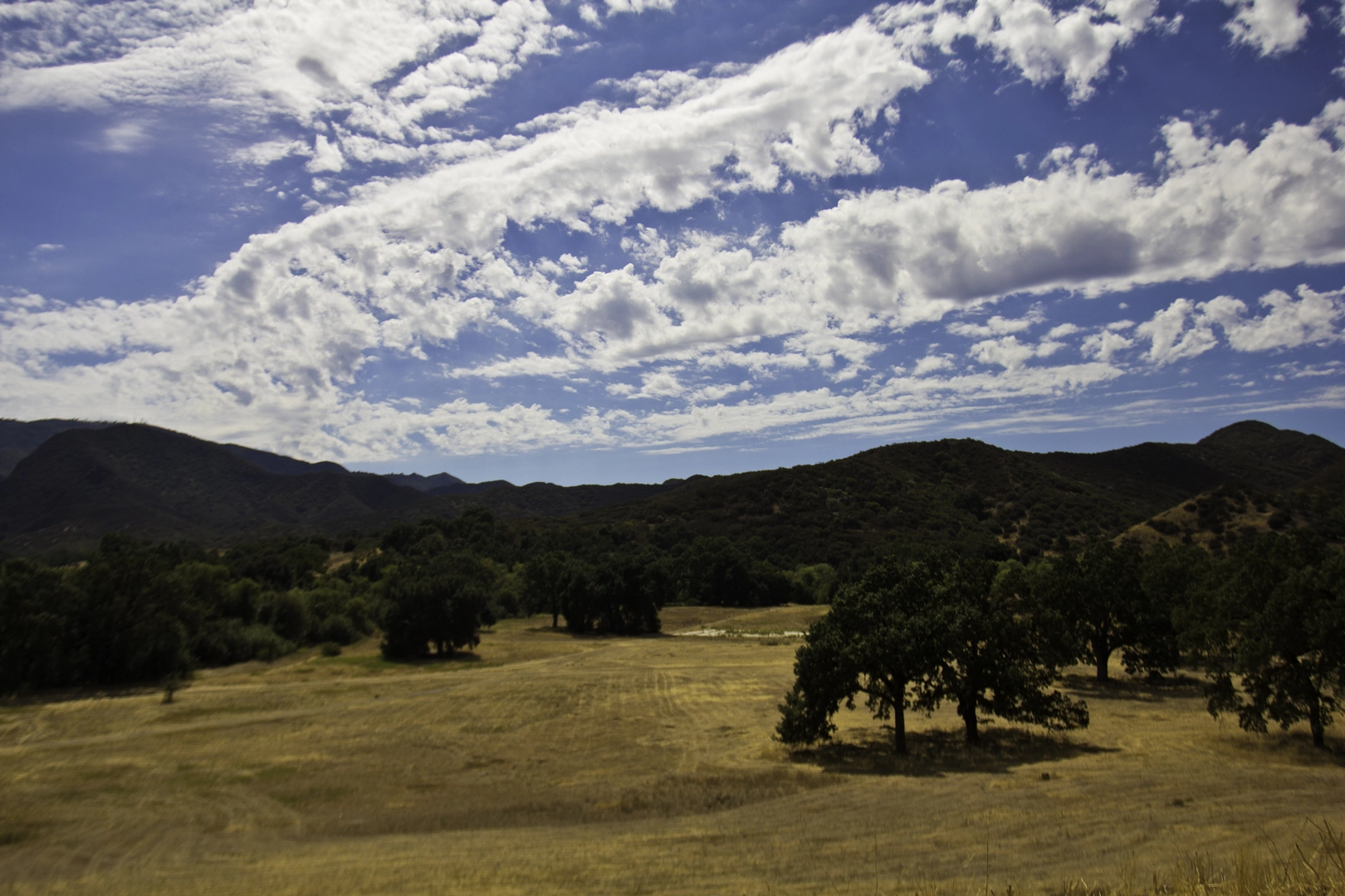 An image depicting the trail Marco Polo, Bwana and Backdrop Loop Trail and its surrounding area.