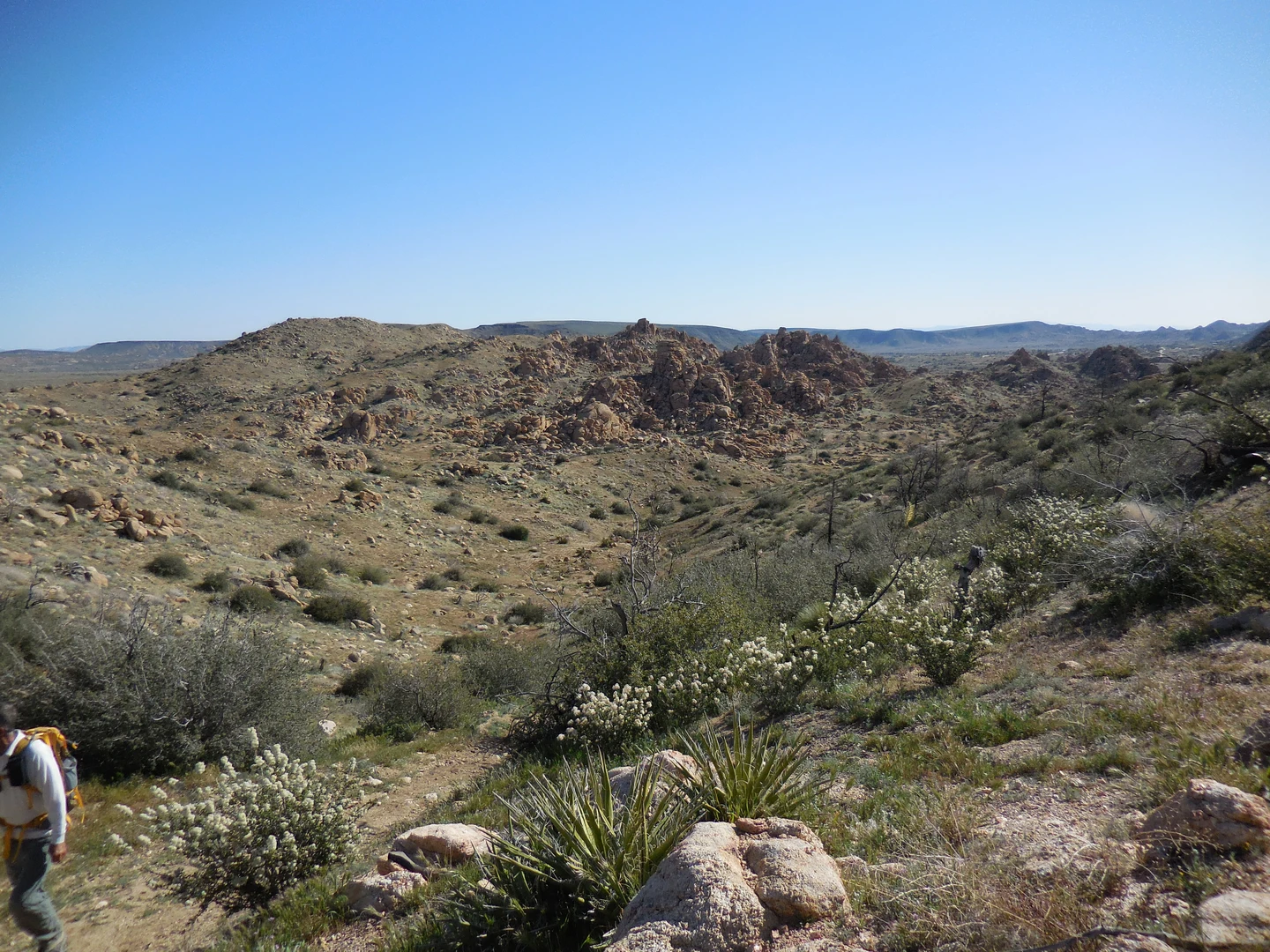 An image depicting the trail Sawtooth Loop and its surrounding area.