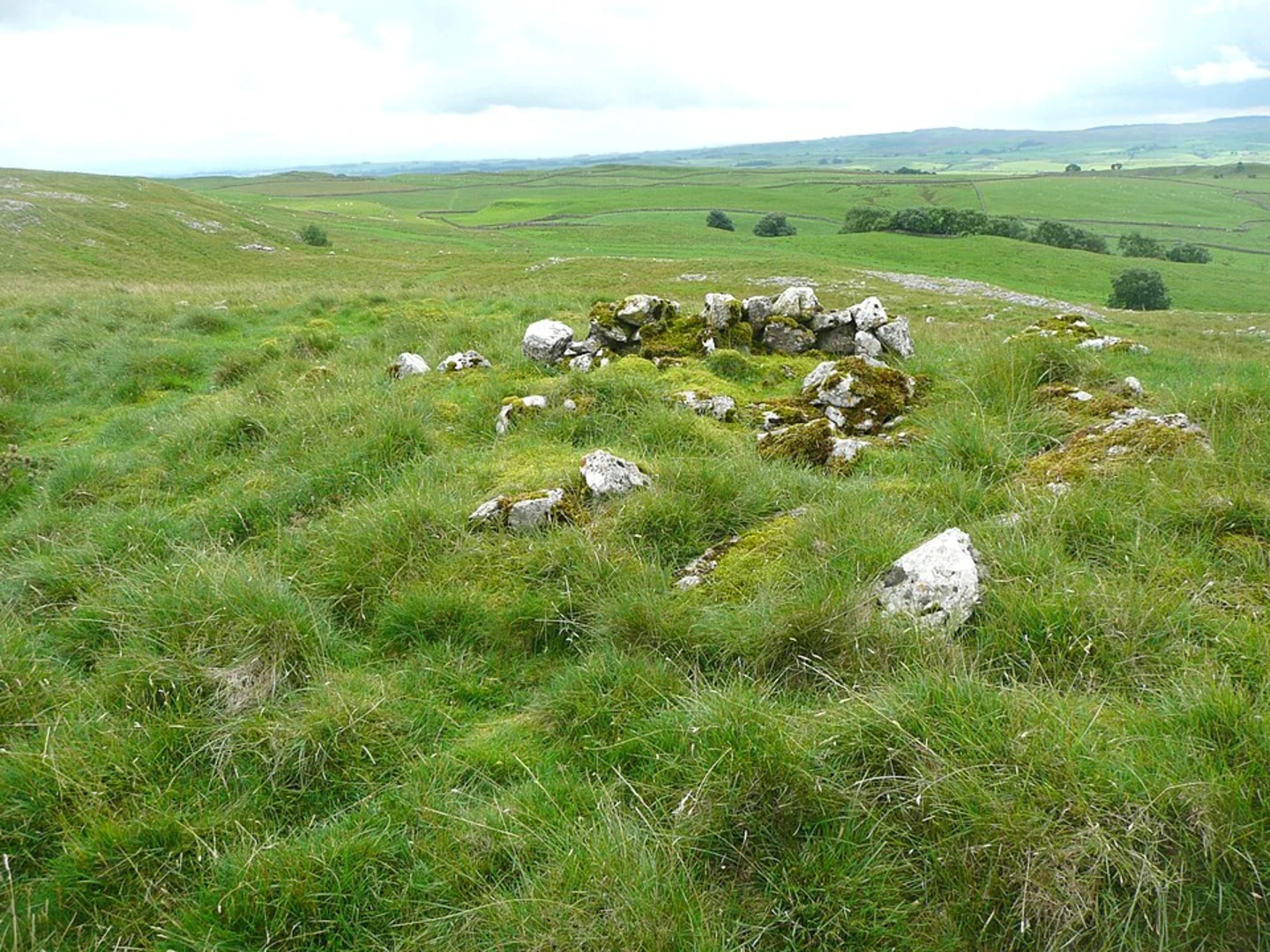 An image depicting the trail Feizor Thwaite and Stainforth Force Loop and its surrounding area.