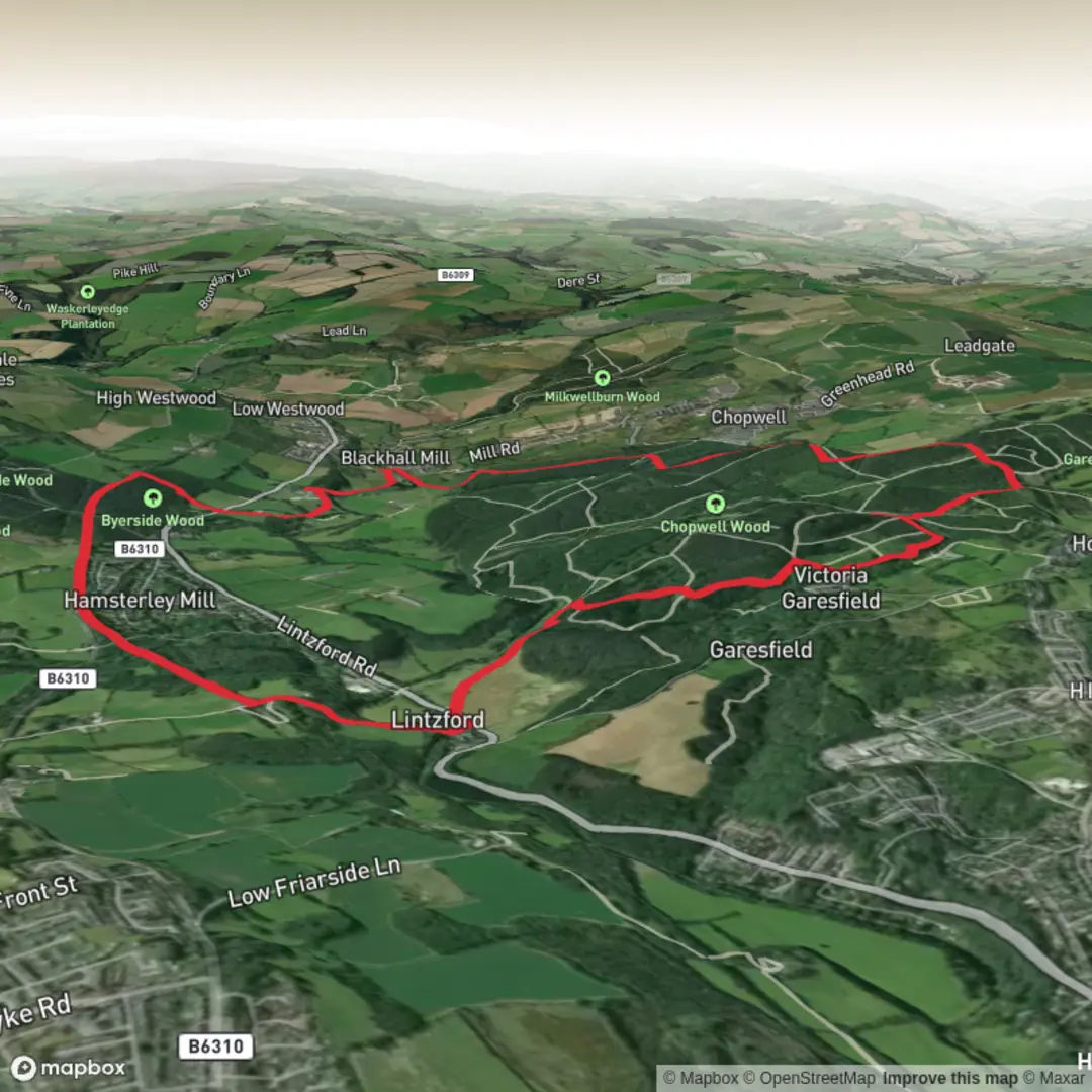 An image depicting the trail Chopwell Woods Circular 2026 and its surrounding area.